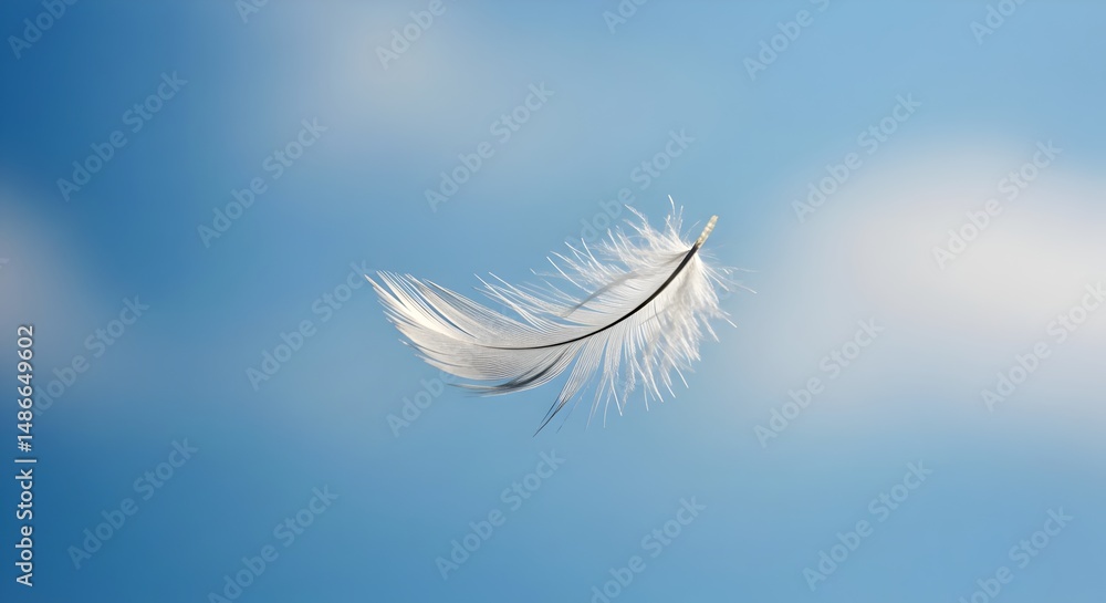 White Bird Feather Floating Blue Sky White Bird Feather Floating Blue Sky