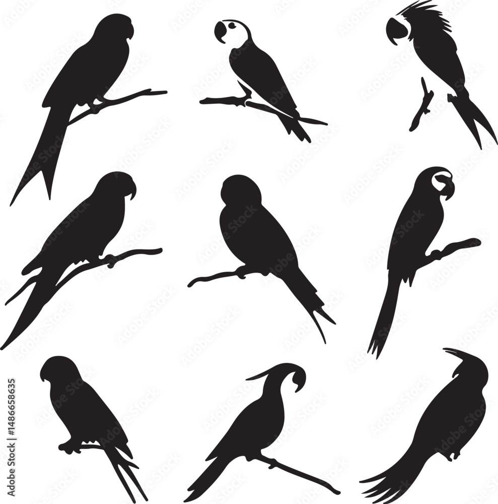 Fototapeta premium Parrot Silhouettes Vector Set: Various Poses on Branches, Black and White