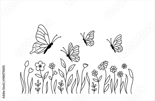 Hand drawing of butterflies and flowers