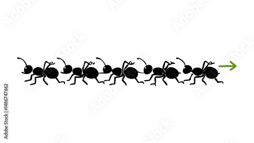 group of ants