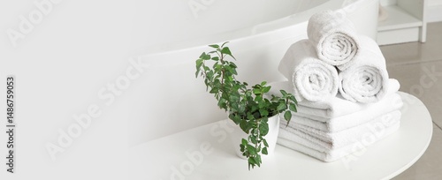 Clean towels and houseplant...