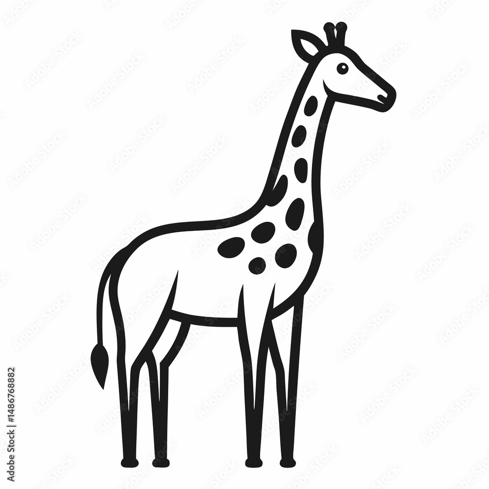 Obraz premium giraffe isolated on white background