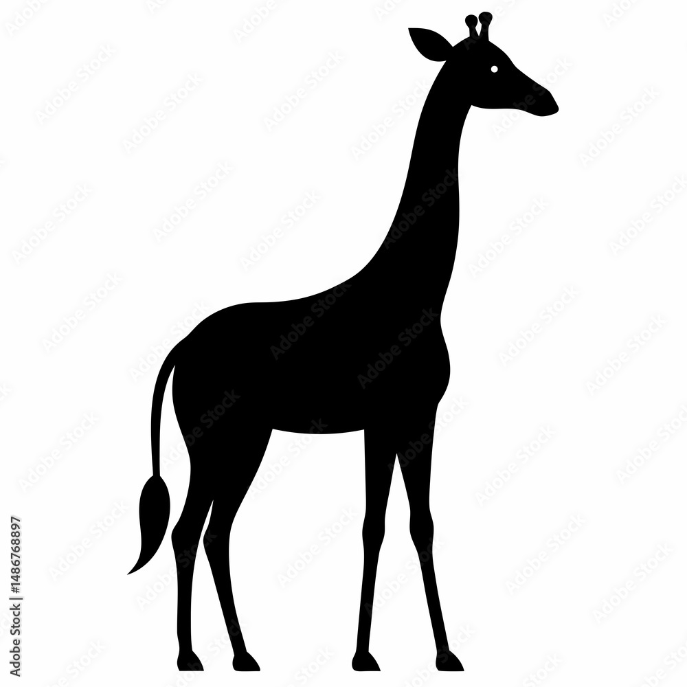 Fototapeta premium giraffe isolated on white background