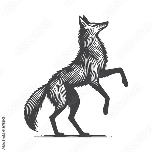 Vintage Hand-Drawn Maned Wolf with Playful Action Illustration – Wild Canine Engraved Style Vector for T-Shirts, Posters, Stickers, and Nature Themes Apparel