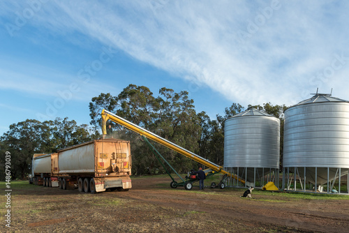 Road train loading grain from farm silos