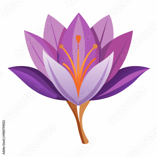 Safran Flower Vector White Transparent Background 