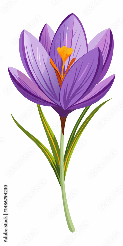 Naklejka premium Safran Flower Vector White Transparent Background 