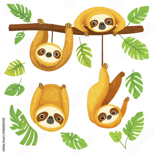 A humorous sloth in various poses is set against a plain white backdrop