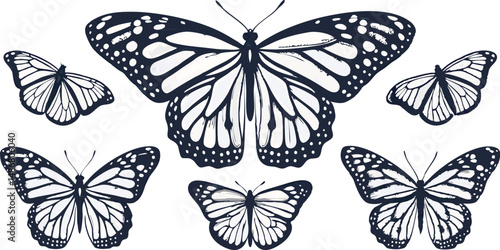 Elegant black and white butterfly illustrations in various sizes.