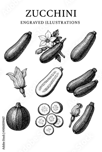 set of fresh vegetables