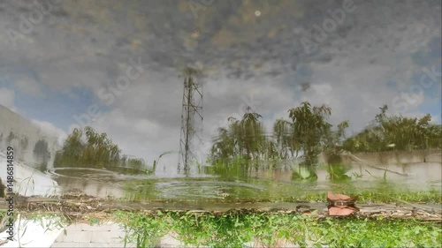 An upside down view of a water pool in a beautiful and tranquil garden.