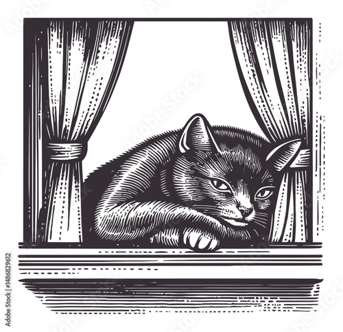 Intricate Vector Drawing of Cat Lazing by Window with Drapes