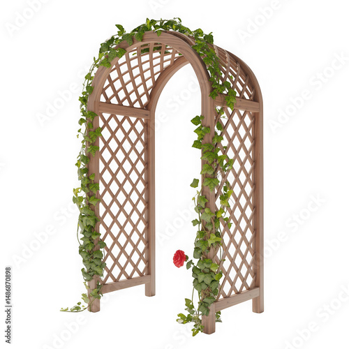 Wooden Archway with Lattice Design and Climbing Ivy Plants