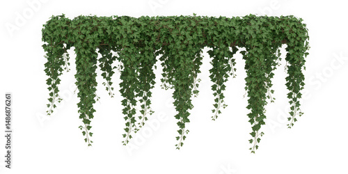 Lush Green Ivy Garland Hanging Isolated on Transparent Background