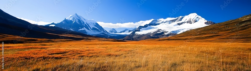 Fototapeta premium Snowy mountain range over a golden meadow.