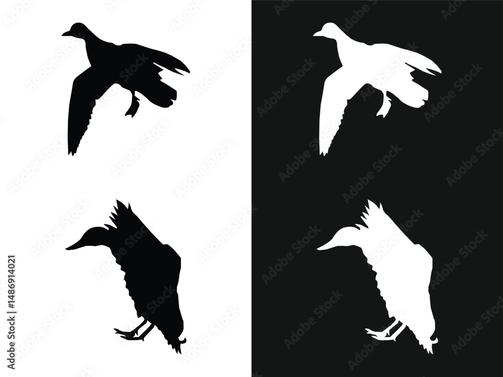 Obraz premium Collection of flying duck silhouette, black and white vector design