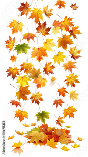 Flying Colorful Maple Leaves with Natural Texture and Autumn Tones isolated on transparent white background, clipping path