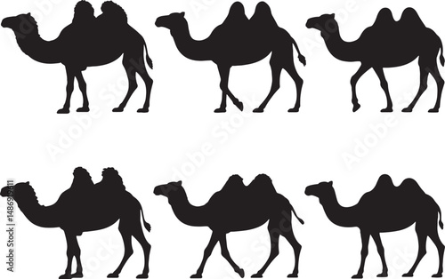 Six silhouettes of camels bactrian dromedary desert animals