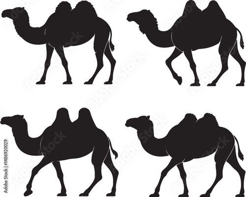 Four camel silhouettes desert animals wildlife