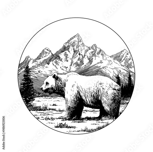 Grizzly Bear Walking in Wilderness Black and White Engraved Illustration in Circle Frame