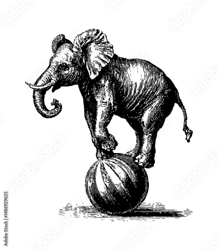 Elephant Balancing on Ball in Black and White Engraving Style Detailed Vintage Illustration