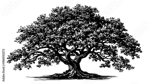 Detailed Silhouette of a Lush Tree with Intricate Branches and Leaves in Black and White Engraving