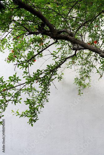 Partial architecture of Chinese classical gardens