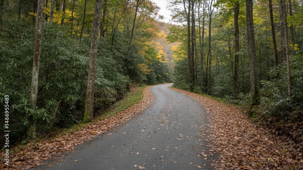 Fototapeta premium Winding Scenic Road Cutting Through Dense Forest Surrounded by Autumn Leaves in Tranquil Nature