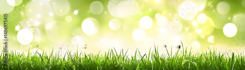 Lush green grass bathed in sunlight bokeh.