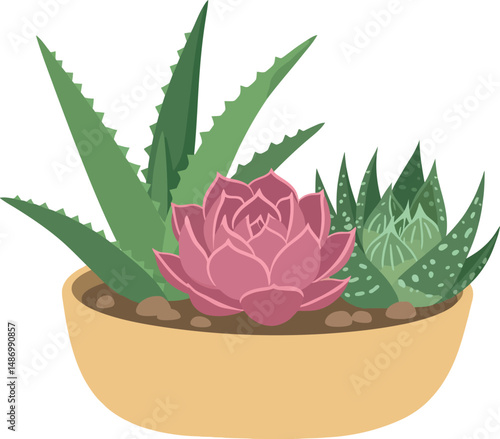 Succulent plants arrangement with aloe and pink echeveria in beige pot vector illustration 