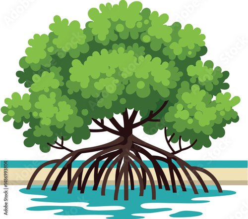 Mangrove tree with lush green leaves and exposed roots over water vector illustration 
