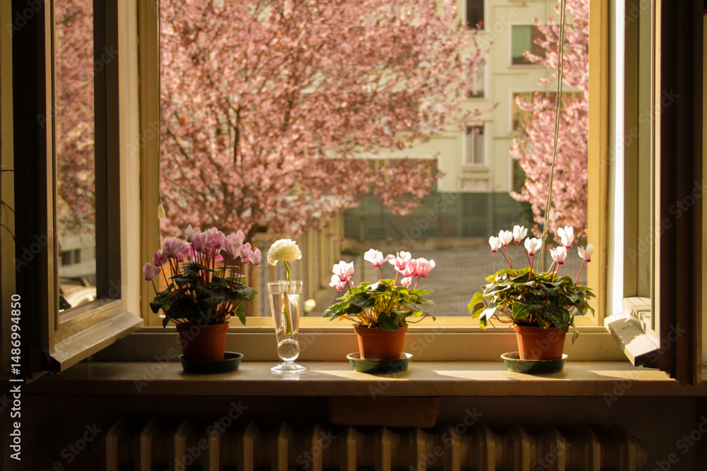 Fototapeta premium flowers in a window