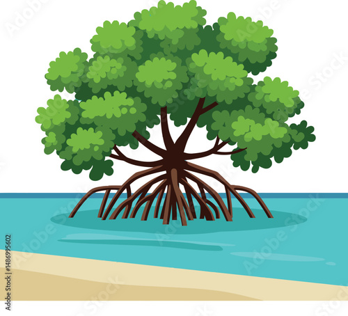 Mangrove tree with extensive roots growing in coastal water ecosystem vector illustration 
