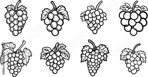 Various grape bunches with leaves isolated on a white background