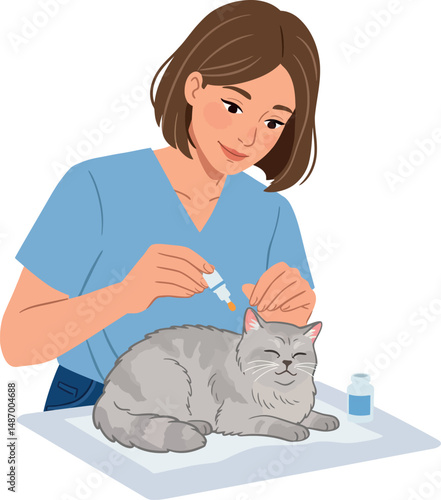 Woman applying ear drops to gray cat in veterinary care setting vector illustration 