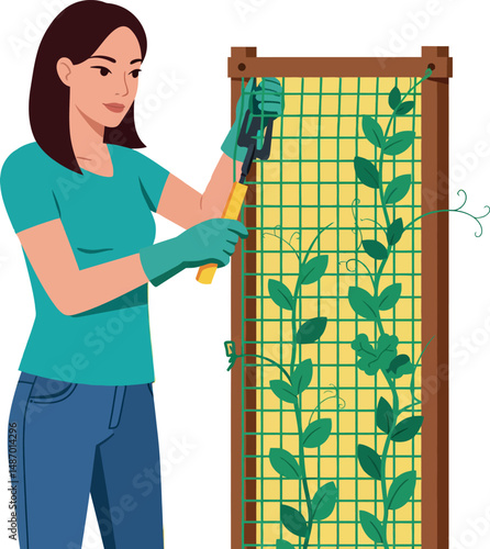 Woman gardening climbing plants on trellis using pruning shears in casual outfit vector illustration 