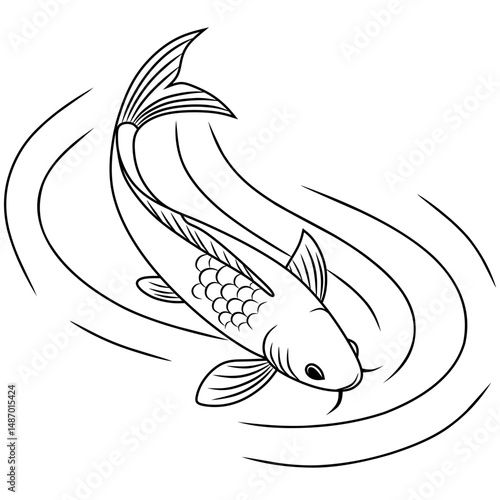 beautiful koi carp fish illustration in monochrome. Symbol of love, friendship and prosperity