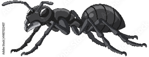 Detailed Black Ant Vector Illustration