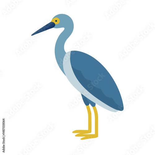 Elegant blue heron standing against a dark background, flat