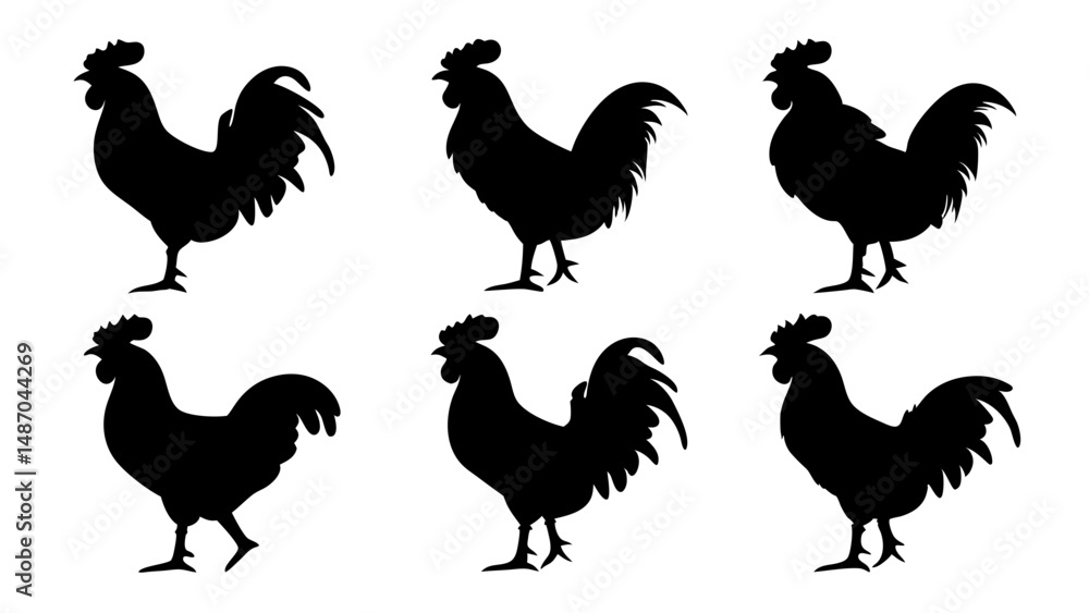 Fototapeta premium set of rooster different pose silhouette vector