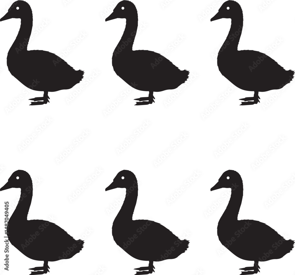 Obraz premium Premium vector. set of silhouette ducks vector illustration on white background. 