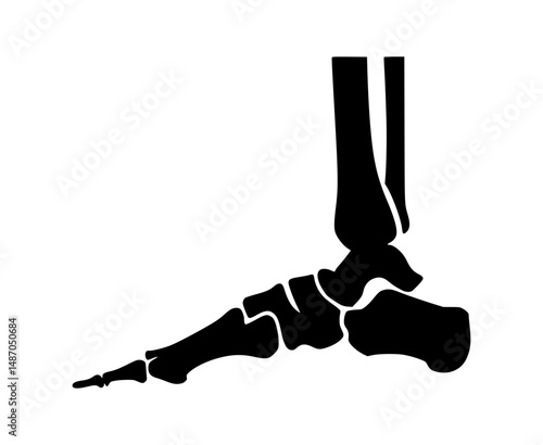 Black Silhouette Ankle Joint Illustration