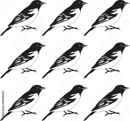 Seamless background with silhouette Oriole bird set collection. 