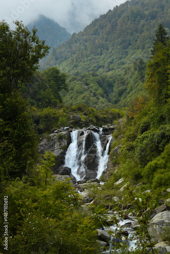 A beautiful waterfall cascades down rocky cliffs amidst dense green forest, set against the backdrop of misty, tree-covered mountains, creating a peaceful and untouched natural scene