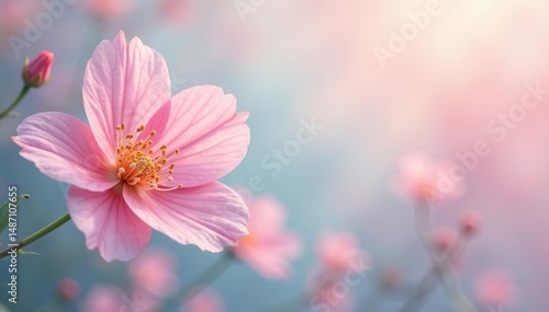 Delicate floral motif, pastel hues, soft focus, elegant, blossom, light