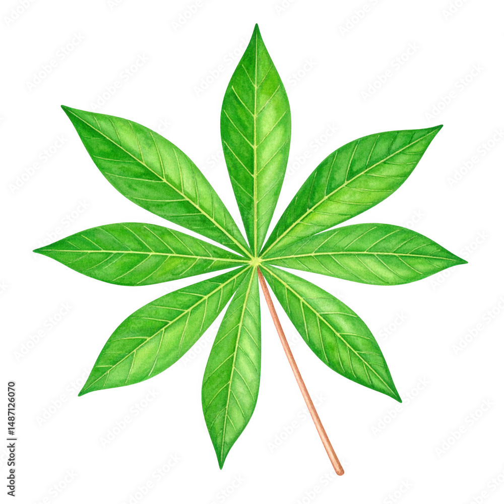 Obraz premium Green leaf with seven pointed lobes is beautifully rendered in watercolor painting style showing delicate veins and natural texture in vibrant green shades