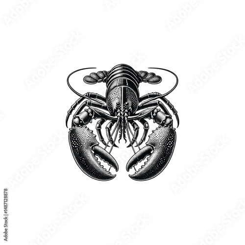 Vintage Engraving Illustration of Detailed Lobster, drawn in an engraved, woodcut style with fine details sketch engraving vector illustration. Scratch board imitation. Black and white image. 