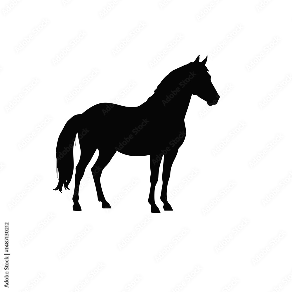 Silhouette of a horse on a transparent background Silhouette of a horse on a transparent background