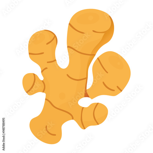 Fresh Ginger Root Illustration Isolated on White Background