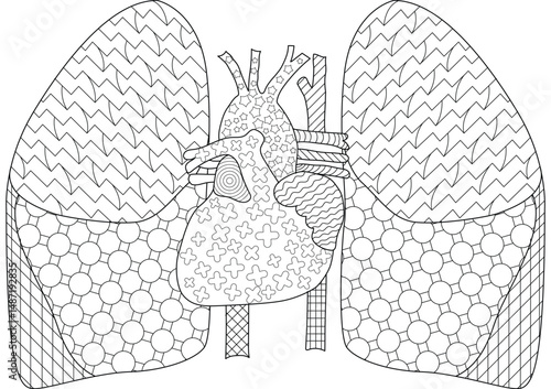 Abstract Anatomical Heart and Lungs Line Art, Detailed line drawing illustration of human anatomy, featuring the heart and lungs filled with intricate abstract patterns. Ideal for educational 
